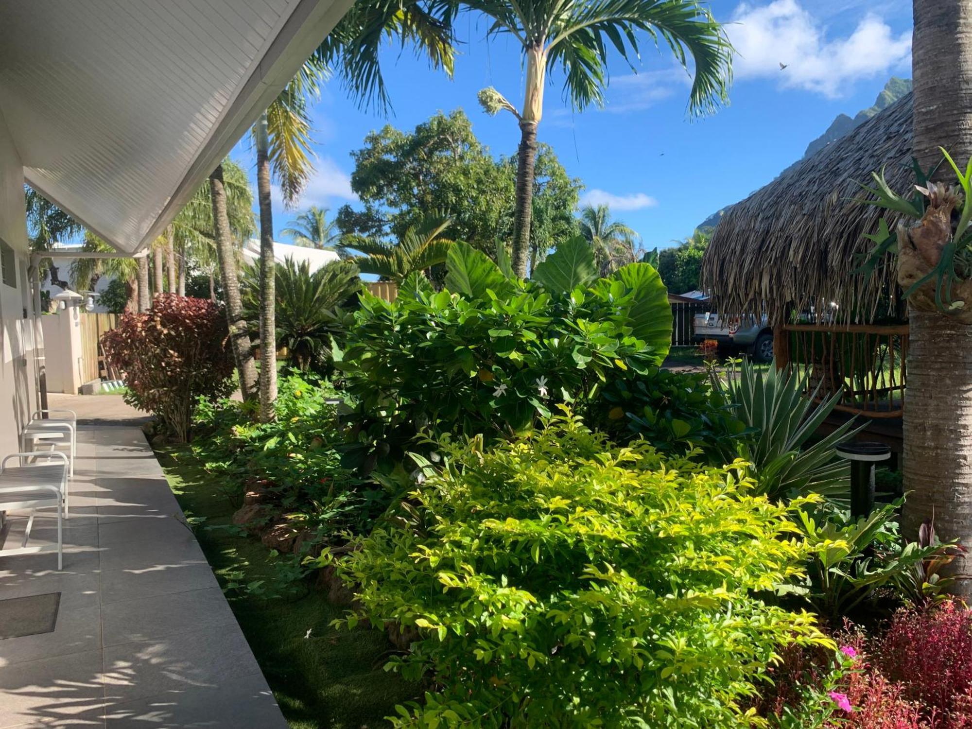 Tiki Ora - Moana Bora Bora